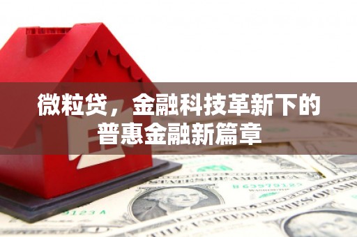 江东微粒贷，金融科技革新下的普惠金融新篇章
