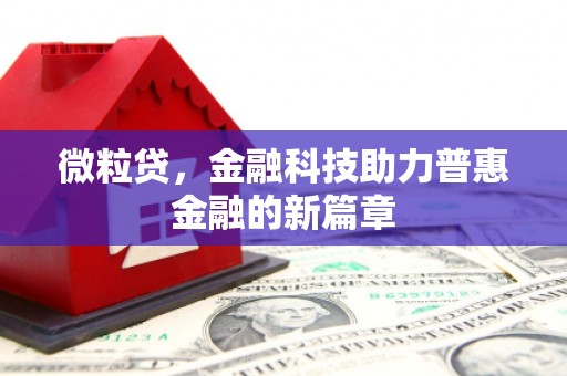 任县微粒贷，金融科技助力普惠金融的新篇章