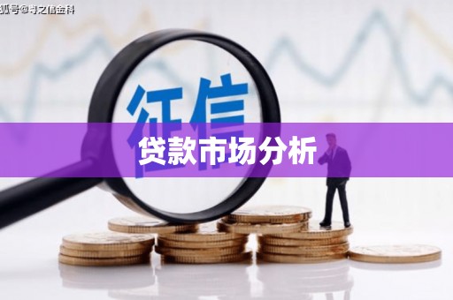 新洲贷款市场分析