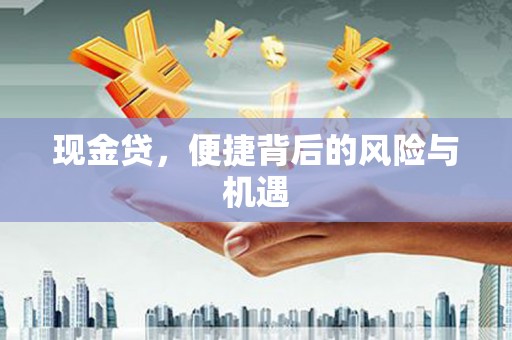 陆川现金贷，便捷背后的风险与机遇