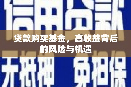 萨嘎贷款购买基金，高收益背后的风险与机遇