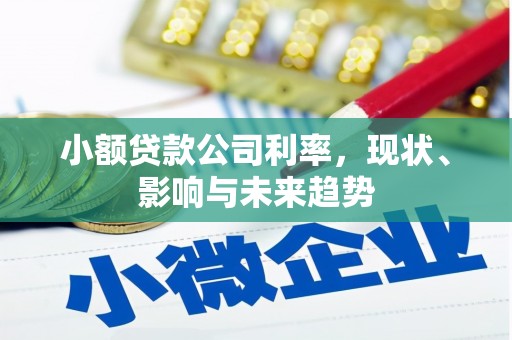 本溪小额贷款公司利率，现状、影响与未来趋势