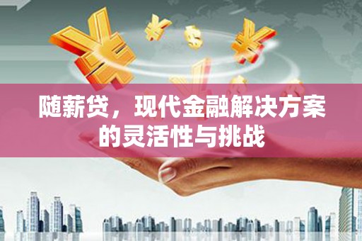 聂荣随薪贷，现代金融解决方案的灵活性与挑战