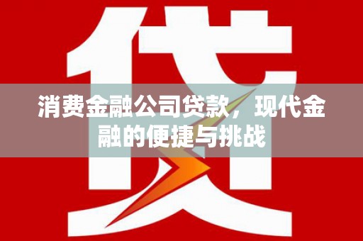 汕尾消费金融公司贷款，现代金融的便捷与挑战