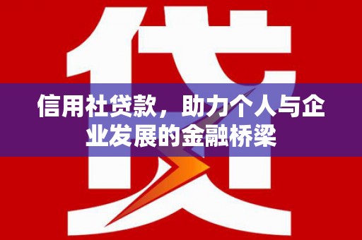 修水信用社贷款，助力个人与企业发展的金融桥梁