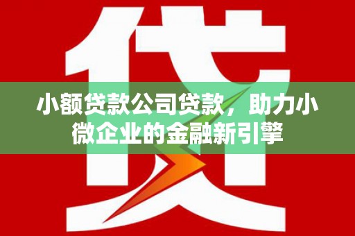 芦竹小额贷款公司贷款，助力小微企业的金融新引擎