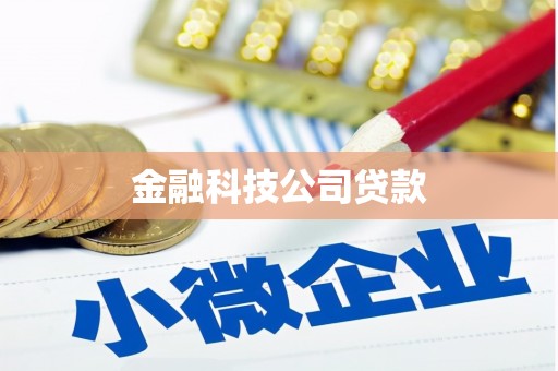 双台子金融科技公司贷款