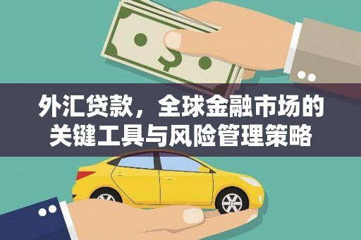 竹南外汇贷款，全球金融市场的关键工具与风险管理策略