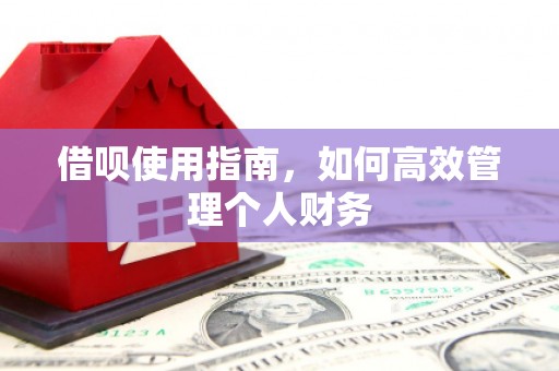 镇康借呗使用指南，如何高效管理个人财务