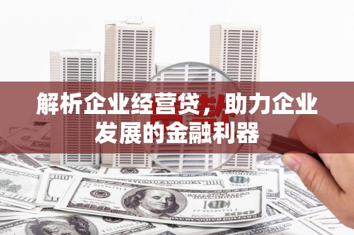 礼县解析企业经营贷，助力企业发展的金融利器