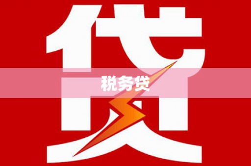 越西税务贷