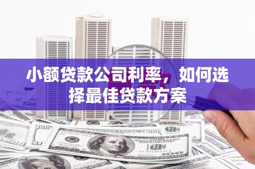 玛曲小额贷款公司利率，如何选择最佳贷款方案