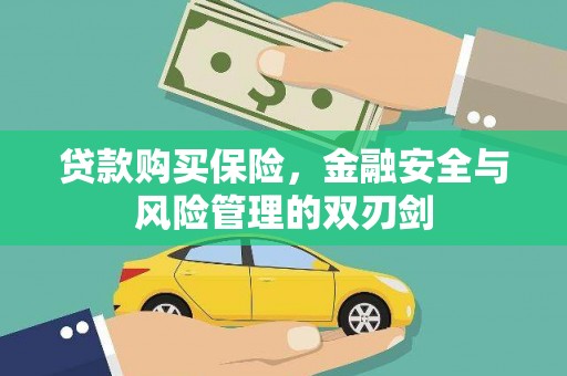 长葛贷款购买保险，金融安全与风险管理的双刃剑