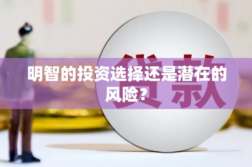 嘉定明智的投资选择还是潜在的风险？