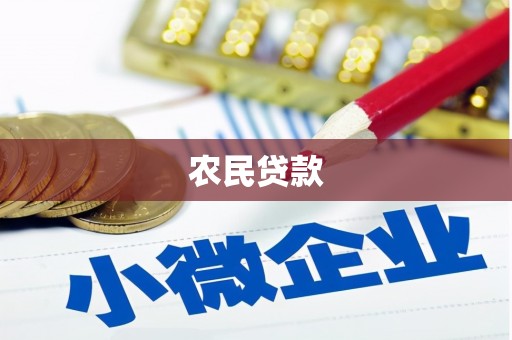 平果农民贷款