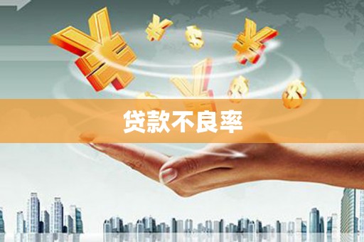 温宿贷款不良率