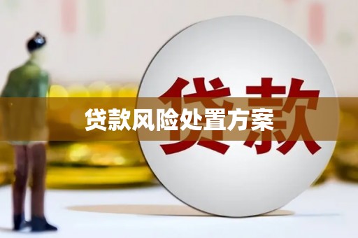 绥阳贷款风险处置方案