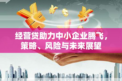 秦汉经营贷助力中小企业腾飞，策略、风险与未来展望
