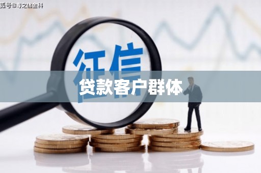 宁夏贷款客户群体