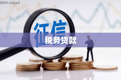 始兴税务贷款