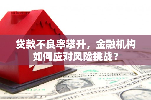 九台贷款不良率攀升，金融机构如何应对风险挑战？