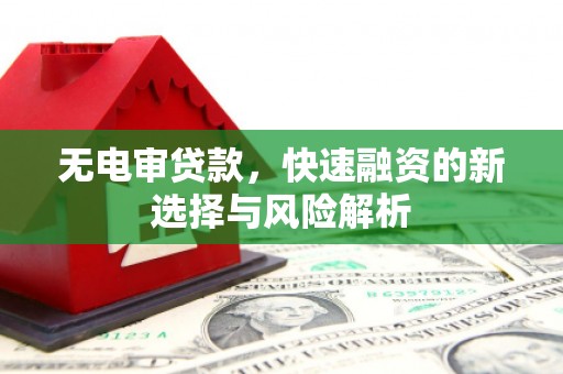 岱岳无电审贷款，快速融资的新选择与风险解析