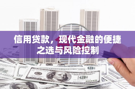 安居信用贷款，现代金融的便捷之选与风险控制