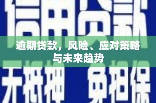 茂林逾期贷款，风险、应对策略与未来趋势