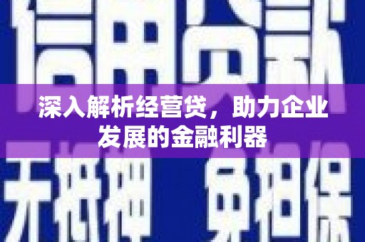水林深入解析经营贷，助力企业发展的金融利器