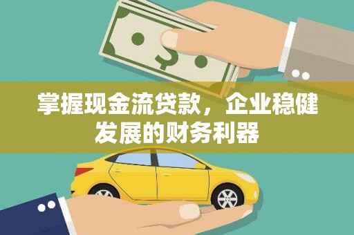 苍南掌握现金流贷款，企业稳健发展的财务利器