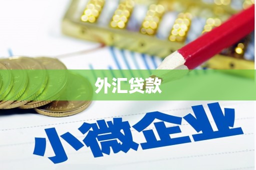 新邱外汇贷款