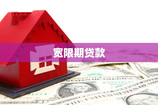 惠民宽限期贷款