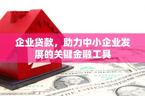 西夏企业贷款，助力中小企业发展的关键金融工具