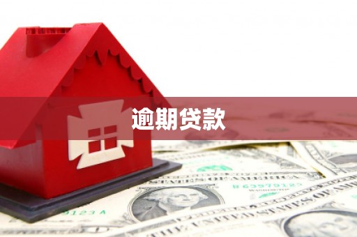 夏河逾期贷款
