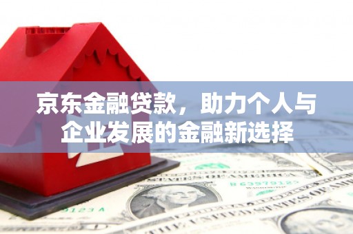 苏尼特右旗京东金融贷款，助力个人与企业发展的金融新选择