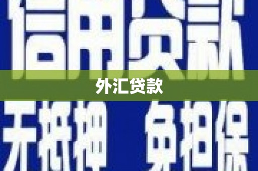 新晃外汇贷款