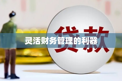 扎赉诺尔灵活财务管理的利器