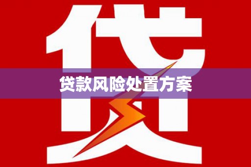 嘉黎贷款风险处置方案