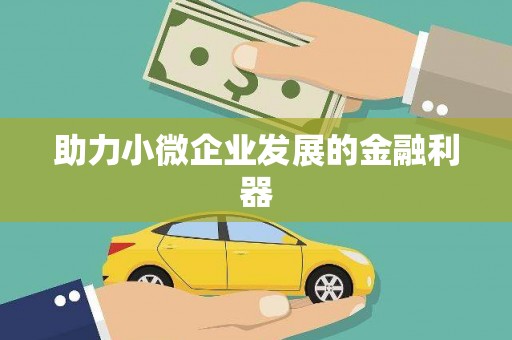陇南助力小微企业发展的金融利器