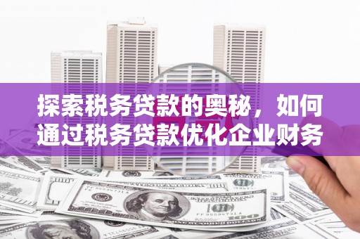 蒲江探索税务贷款的奥秘，如何通过税务贷款优化企业财务