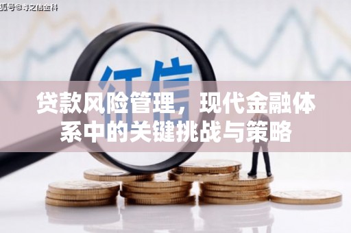 万载贷款风险管理，现代金融体系中的关键挑战与策略