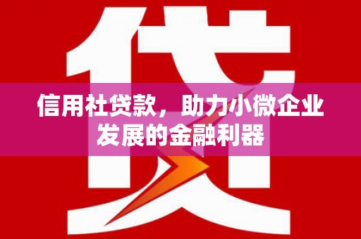 广安信用社贷款，助力小微企业发展的金融利器