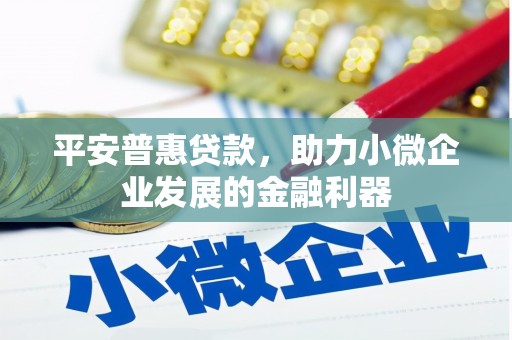 林甸平安普惠贷款，助力小微企业发展的金融利器