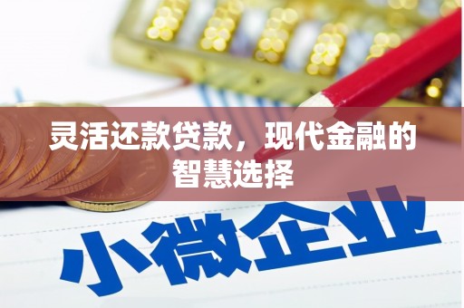 赣榆灵活还款贷款，现代金融的智慧选择