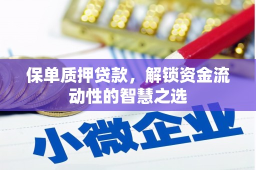 宝兴保单质押贷款，解锁资金流动性的智慧之选