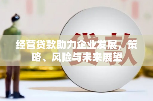宏伟经营贷款助力企业发展，策略、风险与未来展望