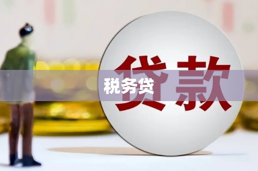 习水税务贷