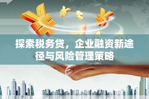 玛纳斯探索税务贷，企业融资新途径与风险管理策略