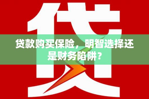 滨州贷款购买保险，明智选择还是财务陷阱？