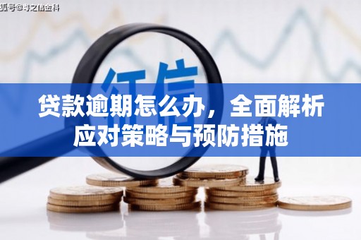 索县贷款逾期怎么办，全面解析应对策略与预防措施